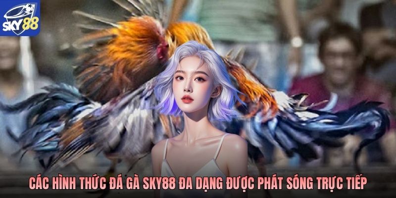 Các hình thức đá gà SKY88 đa dạng được phát sóng trực tiếp