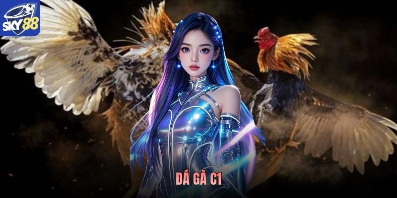 Đá Gà C1 - Giải Đấu Đỉnh Cao Với Những Màn So Tài Kịch Tính