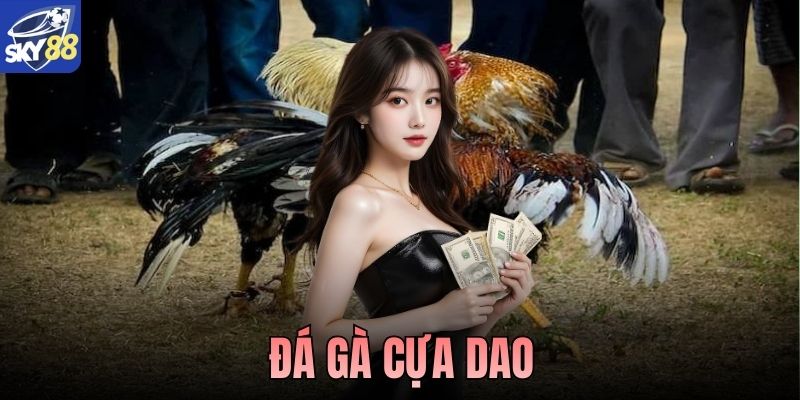 Đá Gà Cựa Dao Sky88 – Sân Chơi Kịch Tính Dẫn Đầu 2026