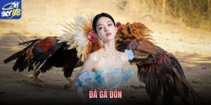Đá Gà Đòn - Loại Hình Thi Đấu Giàu Tính Chiến Thuật