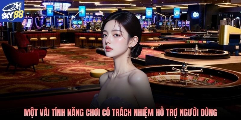 Một vài tính năng chơi có trách nhiệm hỗ trợ người dùng