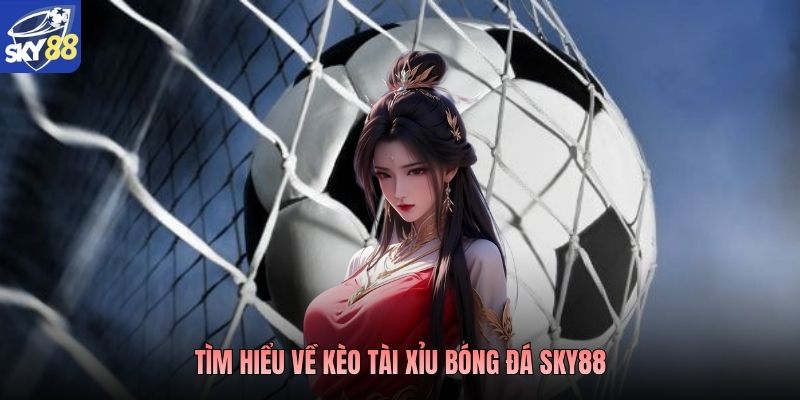 Tìm hiểu về kèo tài xỉu bóng đá Sky88